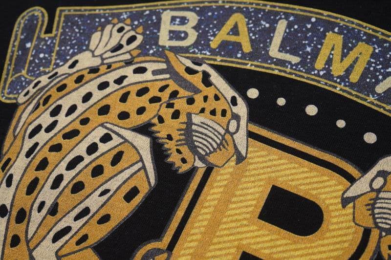 Balmain Lux Leopard T-Shirt thumbnail 25